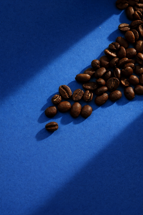 Your Brew Guide
