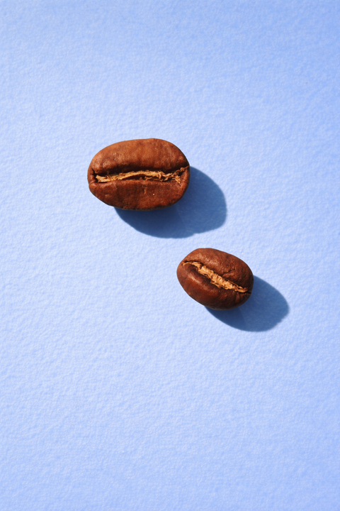 How We Fell for Coffee